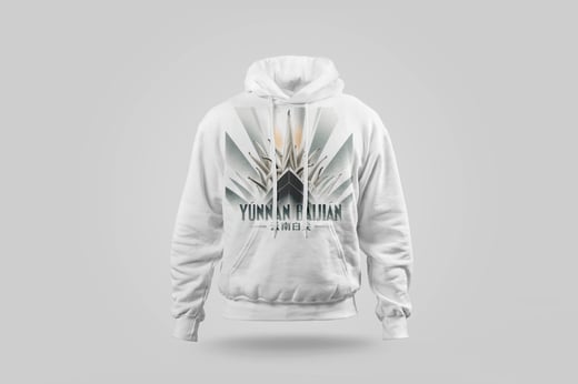 Hoodie — Bái Jiān